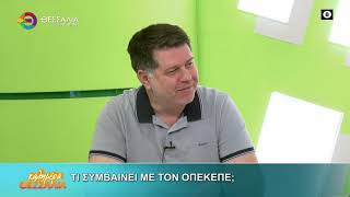 Τι συμβαίνει με τον ΟΠΕΚΕΠΕ ; _ Γιάννης Περουλάκης