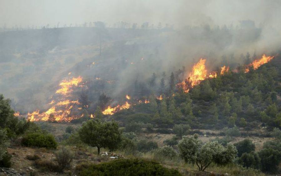 Ανακοίνωση των συγγενών θυμάτων, μετά την απόφαση του Εφετείου, για το Μάτι