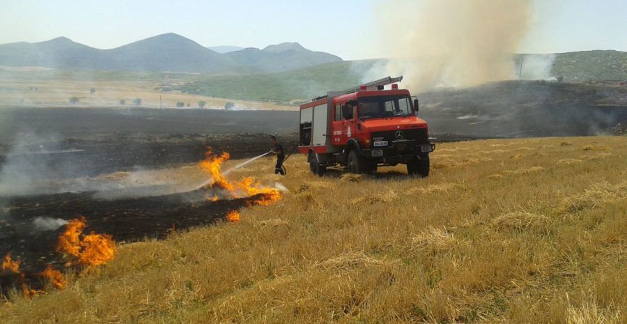 Κάηκαν αθέριστα σιτηρά στα Βασιλικά Φαρσάλων