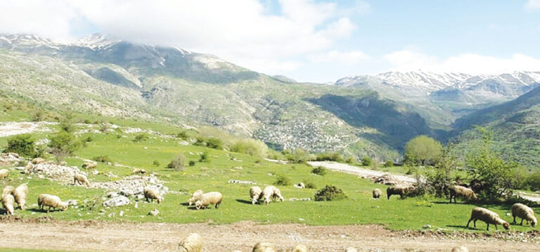 Απόφαση Τσιάρα για τη σύνταξη των τευχών δημοπράτησης των Διαχειριστικών Σχεδίων Βόσκησης
