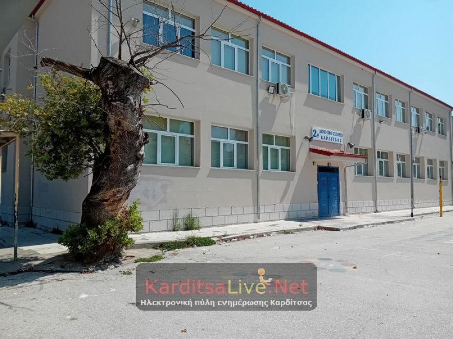 Δημοτική Επιτροπή: “Ναι” στην κοπή πλατάνου στο προαύλιο του 2ου Δημοτικού Σχολείου Καρδίτσας