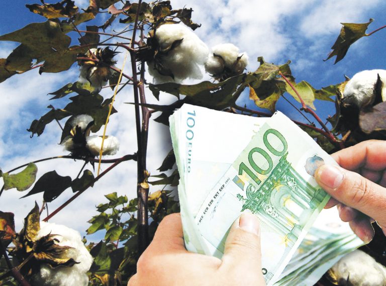 Στα 73,4 ευρώ/στρέμμα η ειδική ενίσχυση βάμβακος - Η Καρδίτσα «βαμβακομάνα» με  371.266 στρέμματα