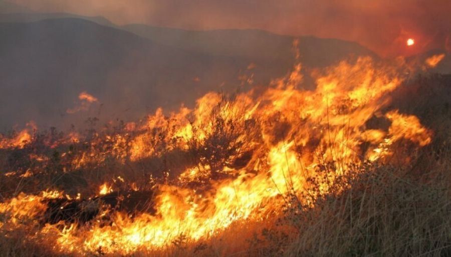 Επέμβαση της Π.Υ. Καρδίτσας για μικρής έκτασης πυρκαγιά στην ευρύτερη περιοχή του Κέδρου