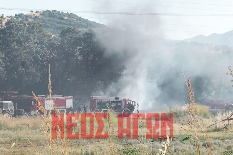 Μεγάλη κινητοποίηση της Πυροσβεστικής σε φωτιά στο δασύλλιο έξω από τον Κέδρο (ΦΩΤΟ)