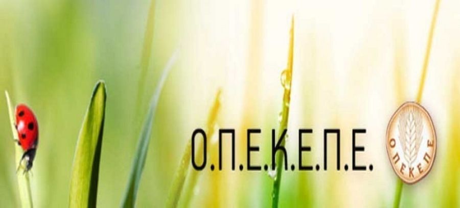 Πτωτικά οι οριστικοποιημένες δηλώσεις ΟΣΔΕ 2025