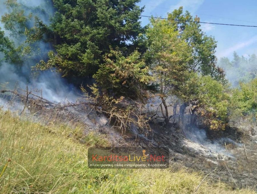 Δασική πυρκαγιά στο Νεοχώρι Καρδίτσας - Κλήθηκαν και εναέρια μέσα (+Φωτο)