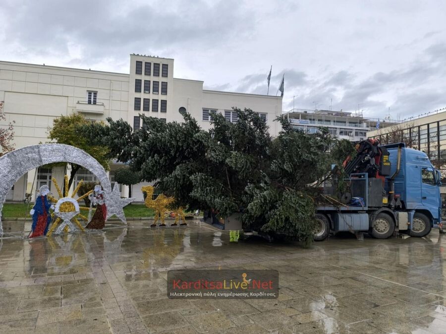 Κατέφθασε το Χριστουγεννιάτικο Δέντρο στην Καρδίτσα! (+Φωτο +Βίντεο)