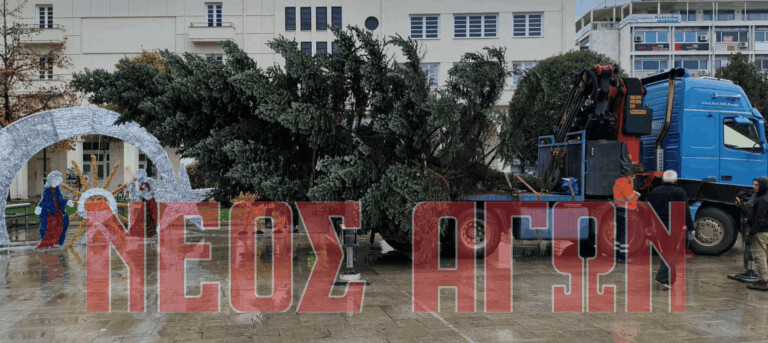 Στην κεντρική πλατεία της Καρδίτσας το φετινό Χριστουγεννιάτικο δέντρο (ΦΩΤΟ & ΒΙΝΤΕΟ)