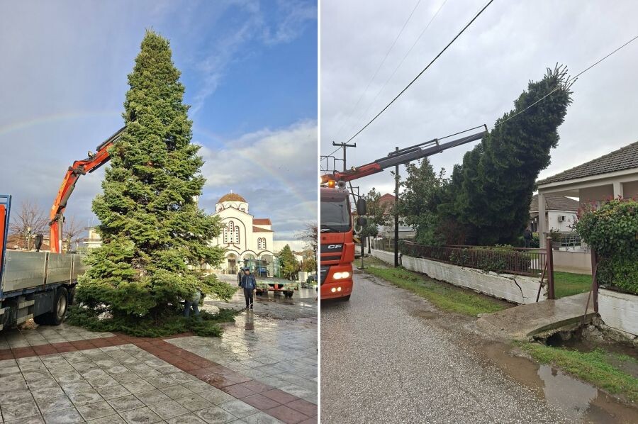 Δωδεκάμετρο το Χριστουγεννιάτικο Δέντρο στους Σοφάδες (+Φωτο)