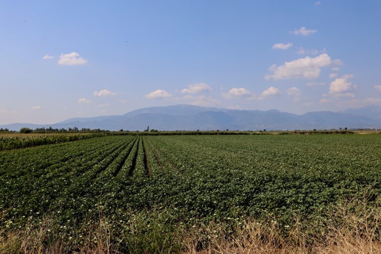 Κέλλας: Ανοίγει η πλατφόρμα για τις ενστάσεις των αγροτών – Φέτος οι πληρωμές έγιναν κατόπιν ελέγχων
