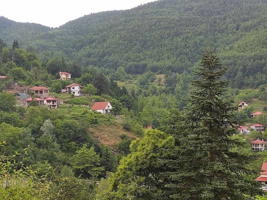 Οδεύει προς δημοπράτηση η «Αποκατάσταση ζημιών σε δίκτυα και υποδομές Τ.Κ. Νεοχωρίου, Πεζούλας, Φυλακτής»