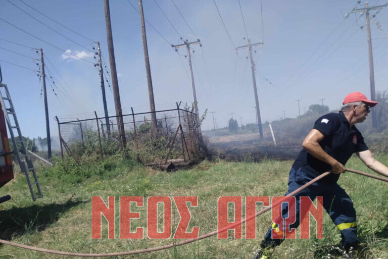 Ένταξη στην κρατική αρωγή αγροτικών εκμεταλλεύσεων που επλήγησαν από τις πυρκαγιές το 2024 στο Ν. Καρδίτσας και στη χώρα