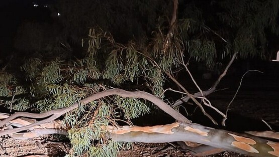 Ν. Καρδίτσας: Ριπές ανέμου έως και 8 μποφόρ προκάλεσαν πολλά προβλήματα