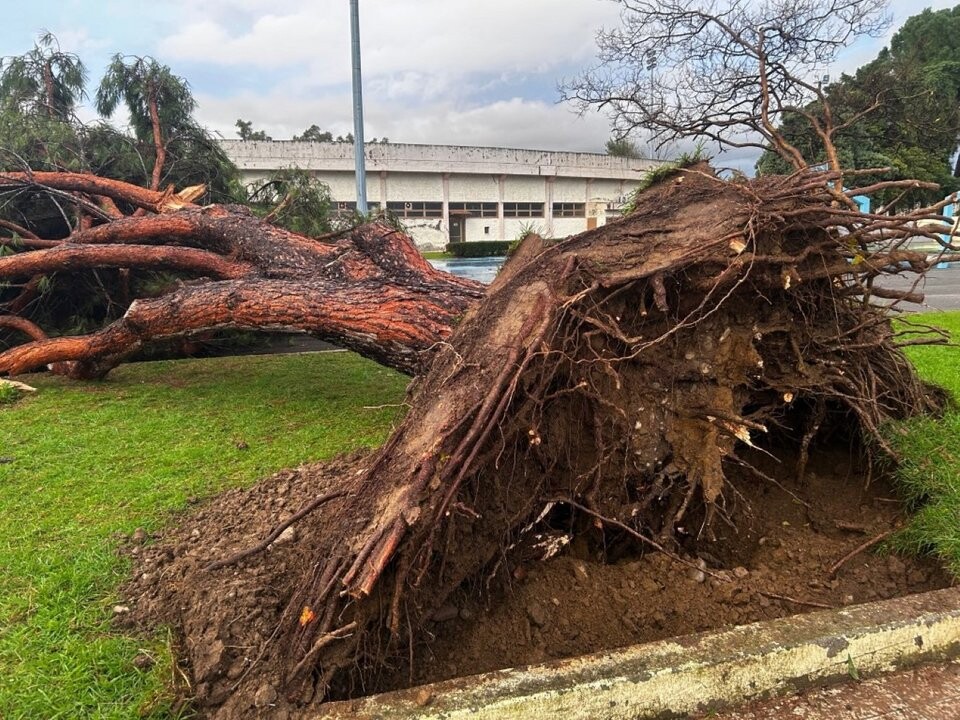 ΕΠΕΙΓΟΥΣΑ ΑΝΑΚΟΙΝΩΣΗ ΠΟΛΙΤΙΚΗΣ ΠΡΟΣΤΑΣΙΑΣ ΔΗΜΟΥ ΑΡΓΙΘΕΑΣ-Εκτεταμένη διακοπή ρεύματος