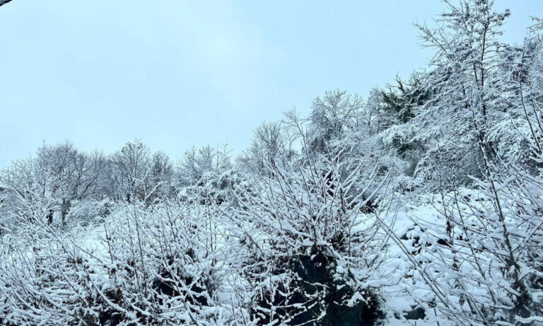 Καιρός: «Βουτιά» της θερμοκρασίας με χιονοπτώσεις σε χαμηλά υψόμετρα