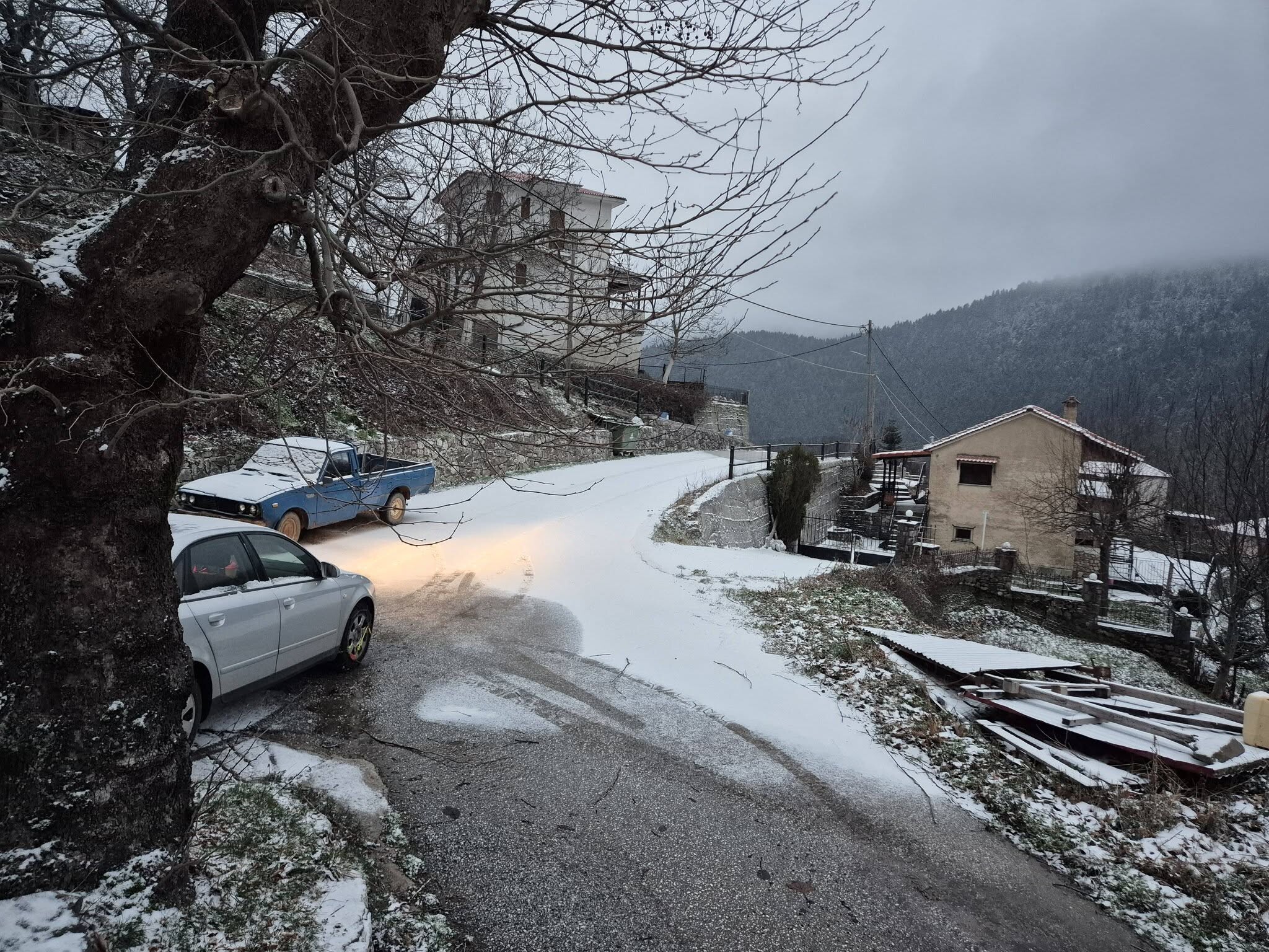 Βουτιά του υδράργυρου και ασθενείς χιονοπτώσεις στα ορεινά του Ν. Καρδίτσας (ΦΩTO)