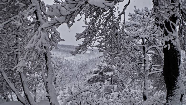 Διακοπή κυκλοφορίας λόγω χιονόπτωσης στο Πήλιο