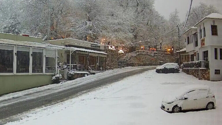 Χειμωνιάτικο σκηνικό στη χώρα: Στα λευκά ντύθηκε η Πορταριά