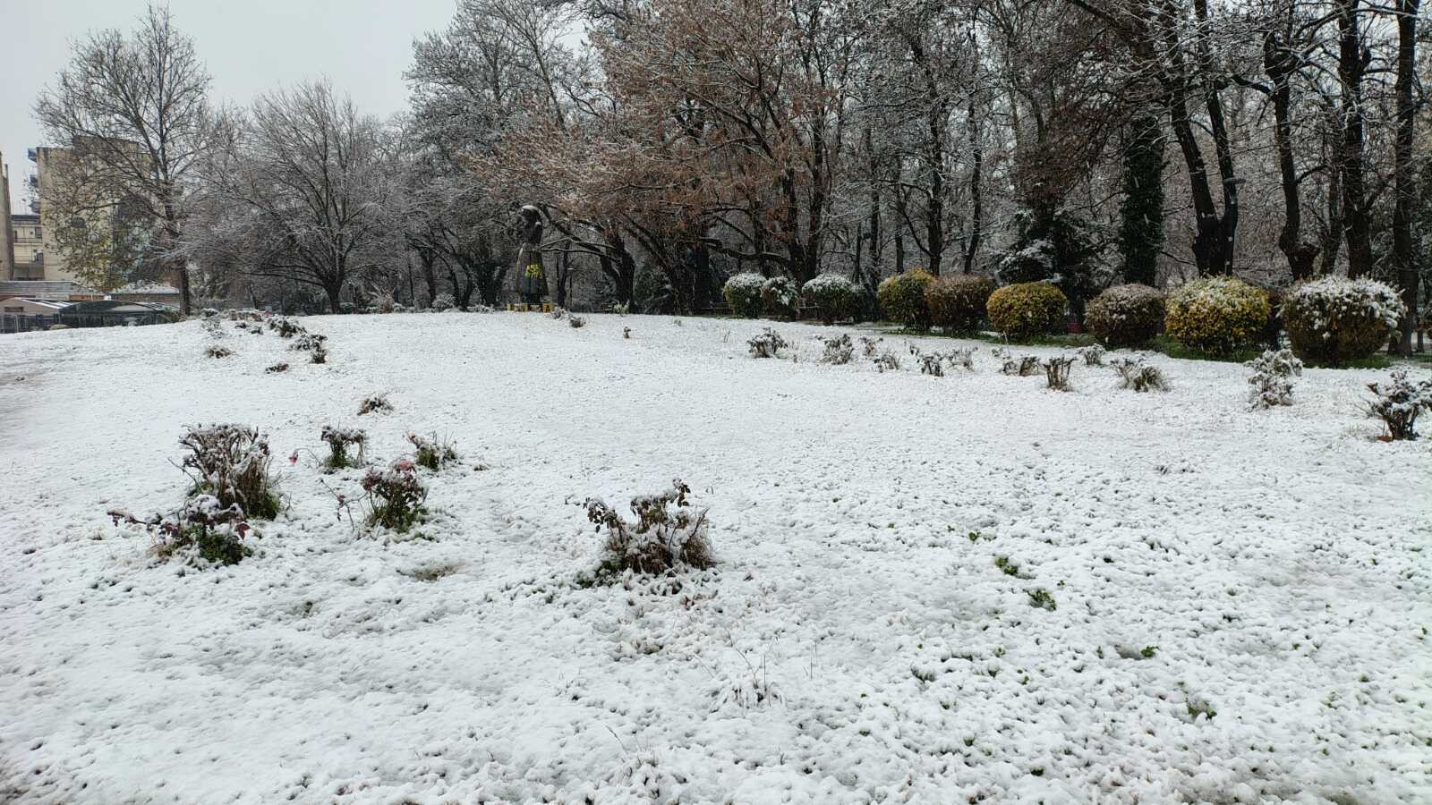Στα λευκά όλος ο Νομός Καρδίτσας