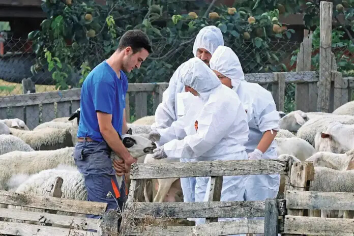 ΕΕΕΔΕΕ: Επικαιροποιημένα  στοιχεία για την πορεία της ευλογιάς-472.928 θανατώσεις ζώων -2 νέα κρούσματα στην Καρδίτσα