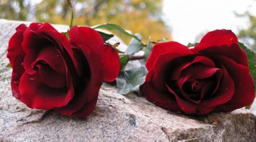 Συλλυπητήριο μήνυμα για την απώλεια του πατέρα του Λάμπρου Τσιούκη