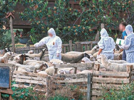 Κ. Τσιάρας: Πρέπει να κλείσουμε τον κύκλο της ευλογιάς με τα μέτρα βιoασφάλειας και όχι με εμβολιασμό (βίντεο)