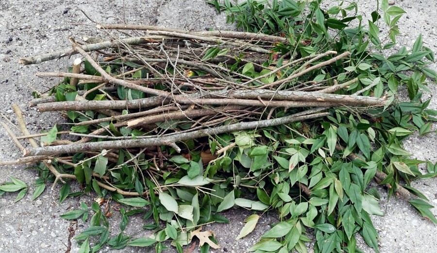 Δήμος Καρδίτσας: Από την Τρίτη 10 Φεβρουαρίου θα γίνει η αποκομιδή κλαδεμάτων στη συνοικία Βλαχομαχαλά