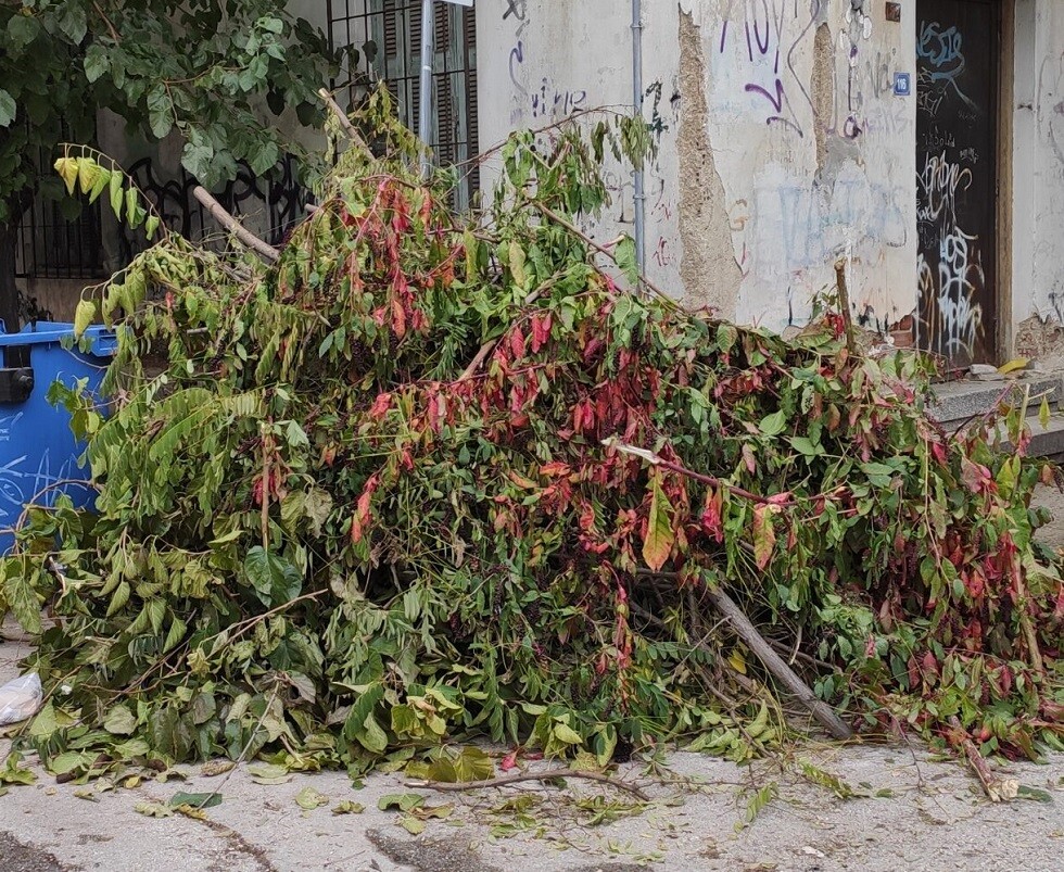 Από την Τρίτη 10 Φεβρουαρίου θα γίνει η αποκομιδή κλαδεμάτων στη συνοικία Βλαχομαχαλά