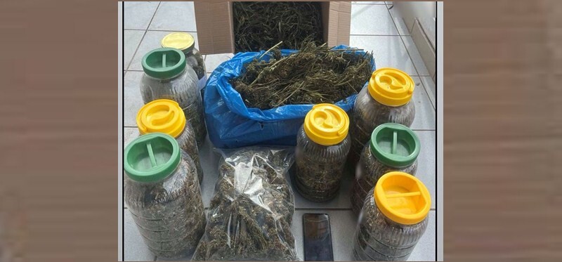 O αστυνομικός σκύλος «ξετρύπωσε» τρία κιλά κάνναβη