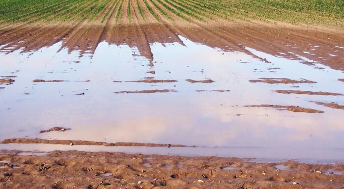 Δήμος Καρδίτσας: Ανακοινώθηκαν πορίσματα ΕΛΓΑ για ζημιές από βροχόπτωση, καύσωνα και ανεμοθύελλα