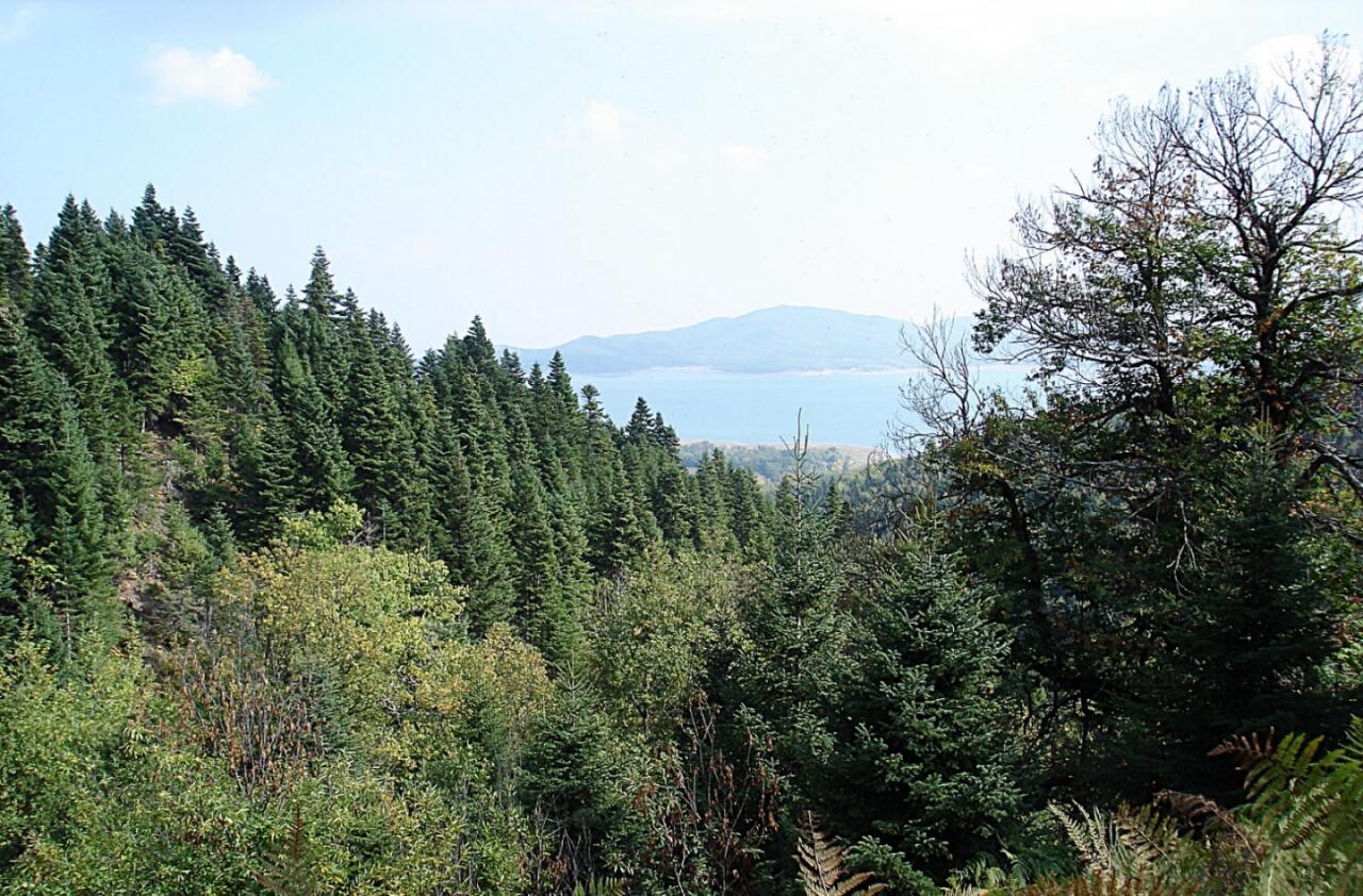 «Σταύρος Καλαφάτης: Η Λίμνη Πλαστήρα μετατρέπεται σε στρατηγικό πυλώνα έρευνας και ανάπτυξης»