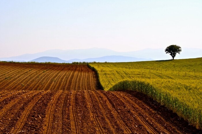 Ενημέρωση Τακούδη για τους αγρότες: πότε περιμένουμε βροχές στη Θεσσαλία-δεν διαφαίνεται παγετός