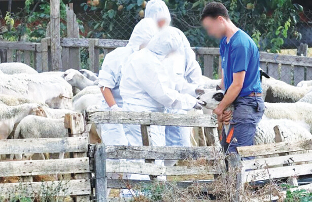 Άρχισαν οι αιτήσεις για την απόκτηση εργασιακής εμπειρίας στην κτηνοτροφία