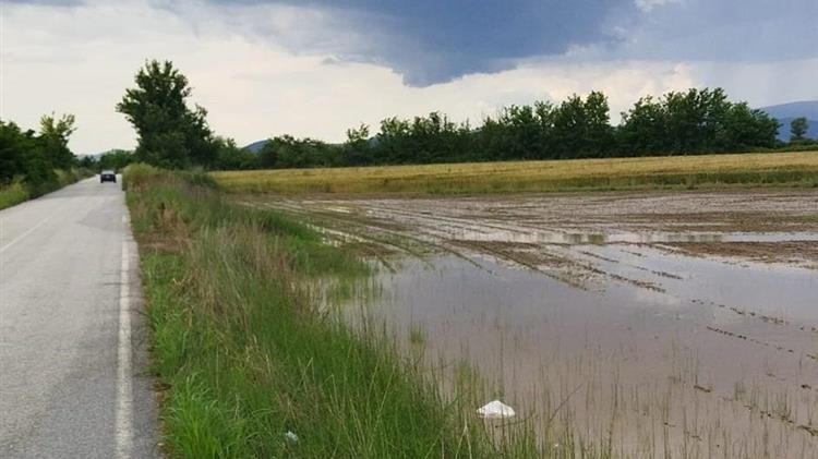 Τακούδης για αγρότες: Βροχές την επόμενη εβδομάδα