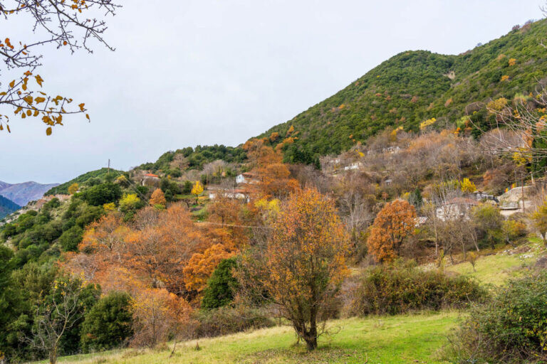 Ανάδοχος για την αποκατάσταση του οδικού δικτύου στο Πετρωτό Αργιθέας