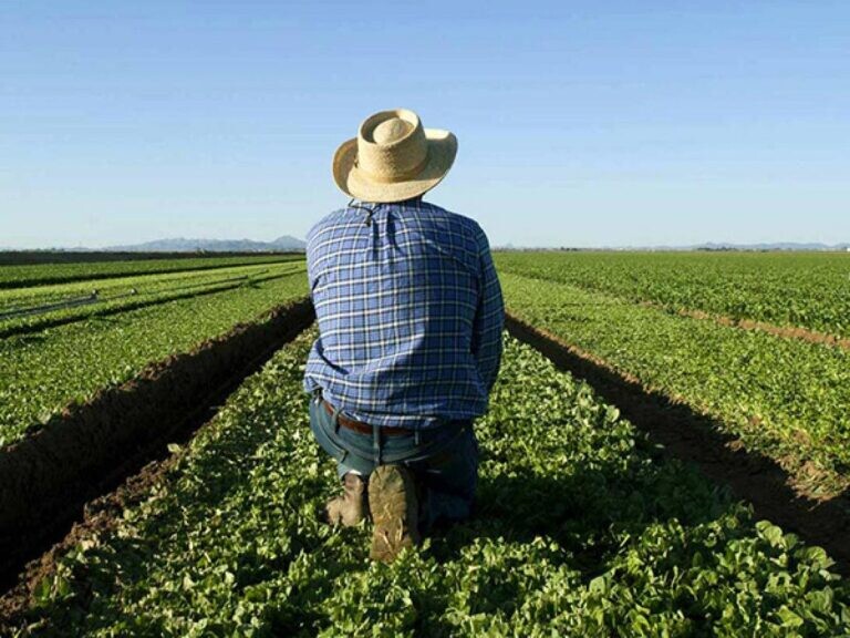 Παρέμβαση για το κόστος παραγωγής