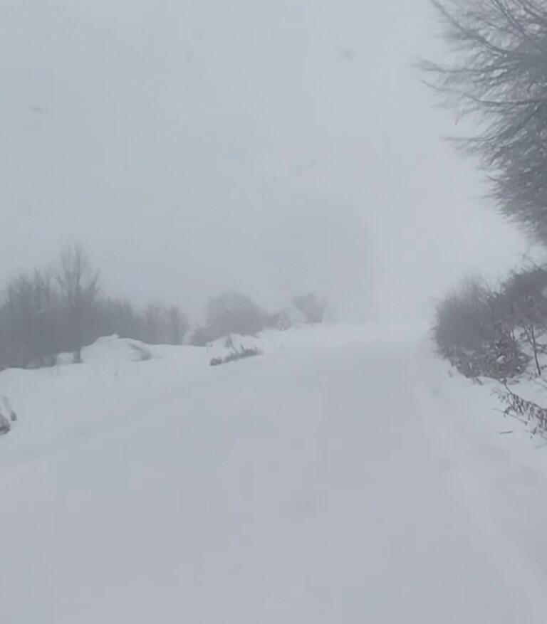 Ανοιξιάτικο λευκό τοπίο στα μεγαλύτερα υψόμετρα των ορεινών του Νομού Καρδίτσας (ΦΩΤΟ)