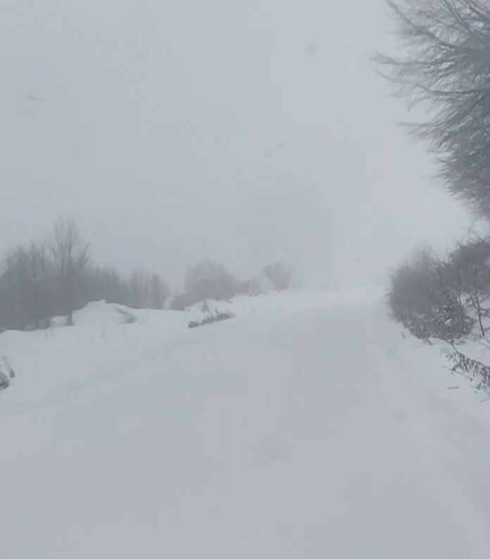 Ανοιξιάτικο λευκό τοπίο στα μεγαλύτερα υψόμετρα των ορεινών του Νομού Καρδίτσας (ΦΩΤΟ)