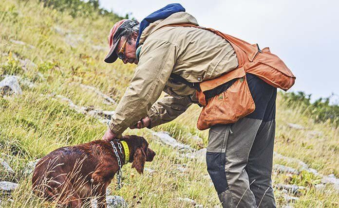 Δασαρχείο Μουζακίου: Ρυθμιστική διάταξη για  την εκγύμναση κυνηγετικών σκύλων