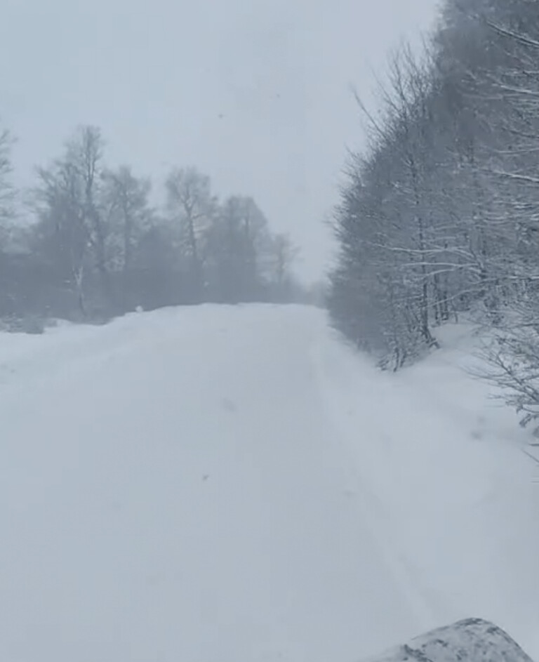 Νέα χιονόπτωση στα μεγαλύτερα υψόμετρα των ορεινών του Ν. Καρδίτσας (ΦΩΤΟ)