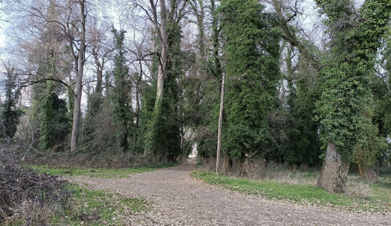 «Πράσινο» της Δ/νσης Δασών για δημιουργία χώρου αναψυχής στην Παπαράντζα