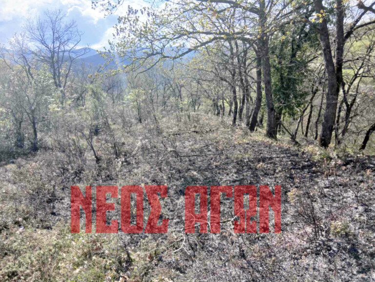 Άμεση επέμβαση της Πυροσβεστικής σε δασική πυρκαγιά μεταξύ Καναλίων – Αγ. Ακακίου (ΦΩΤΟ)