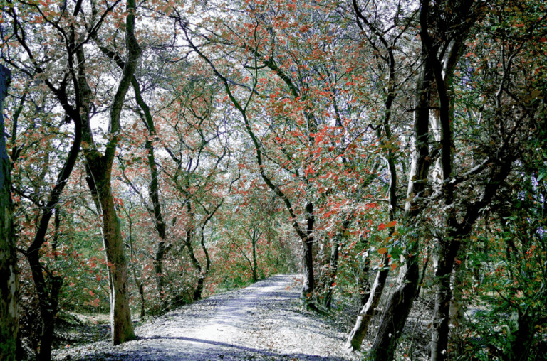 Υπογράφτηκε η σύμβαση του έργου ανάδειξης δικτύου διαδρομών στο Δήμο Αργιθέας