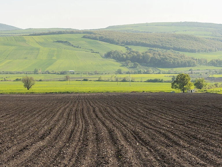 Τροποποιητική φέρνει πληρωμές χωρίς κυρώσεις  σε αγροτεμάχια με προβλήματα monitoring