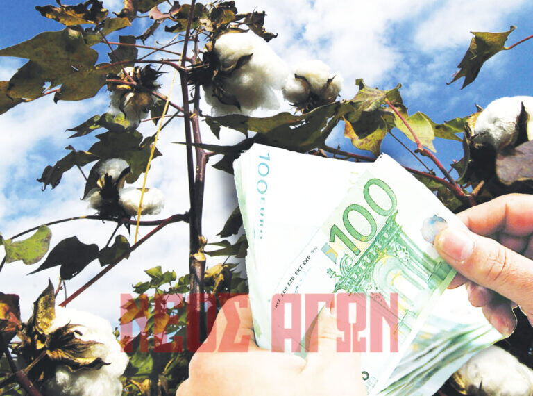 Το... χρώμα του χρήματος βλέπουν οι Καρδιτσιώτες βαμβακοπαραγωγοί - ξεκίνησε η πληρωμή της συνδεδεμένης