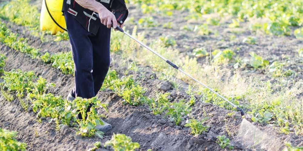 Συστάσεις για ορθολογική χρήση των γεωργικών φαρμάκων