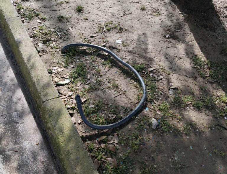 Λάστιχο δίπλα στο άγαλμα