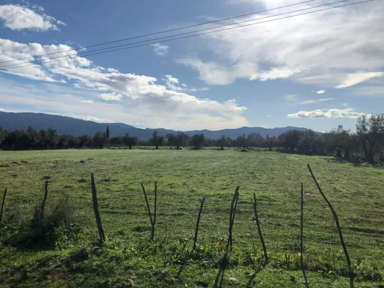 Και η σποροπαραγωγή στα de minimis τριφυλλιών, στα 36-37 εκατ. ευρώ όλο το ποσό