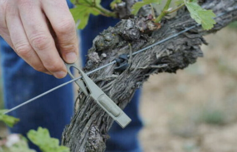 Τροποποιήσεις σε εντάξεις για το Κομφούζιο από την 1η Ιουλίου