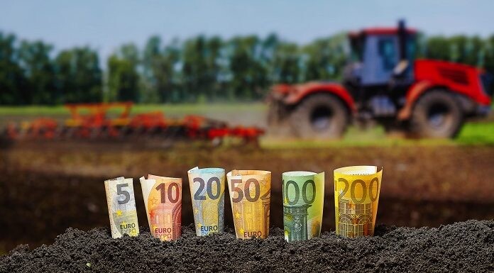 Γ. Περουλάκης: «Η μεταφορά του ΟΠΕΚΕΠΕ στην ΑΑΔΕ και η αύξηση των ελέγχων  δεν πρέπει να λειτουργούν ως χρονοκαθυστέρηση στις πληρωμές»